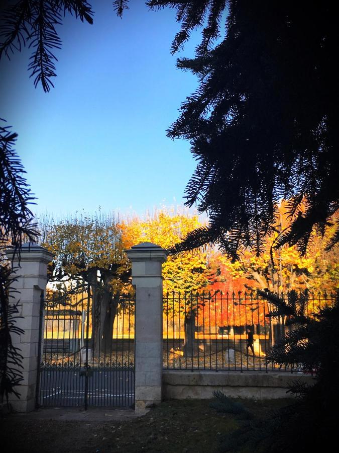 Manoir 1838 A - 3 Km Du Zoo De Beauval & Proche Des Chateaux Saint-Aignan  Εξωτερικό φωτογραφία